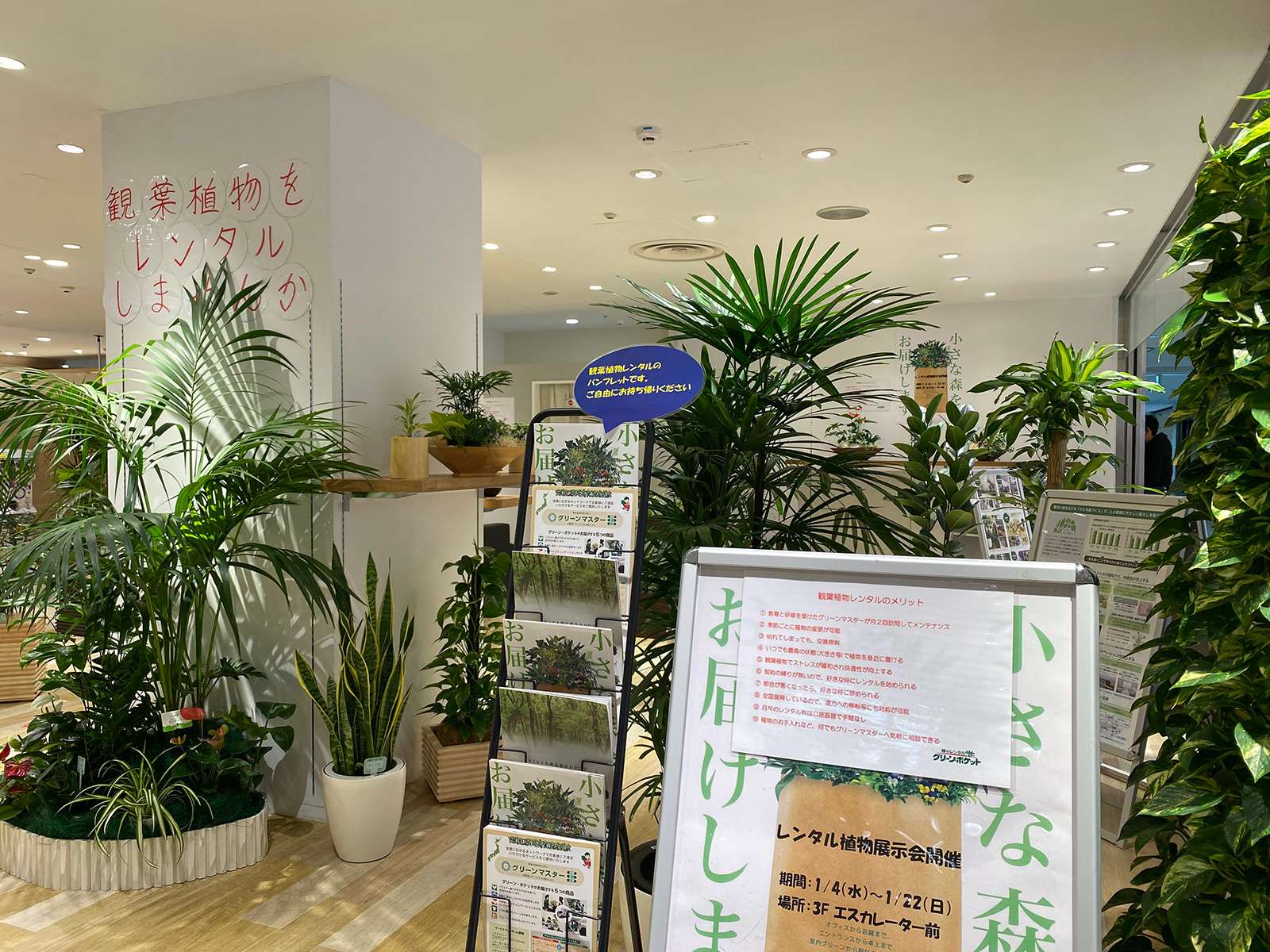観葉植物レンタル「グリーンポケット」展示会を開催中!